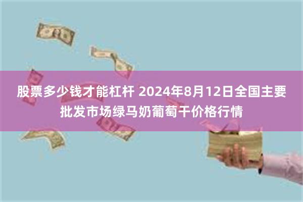 股票多少钱才能杠杆 2024年8月12日全国主要批发市场绿马奶葡萄干价格行情