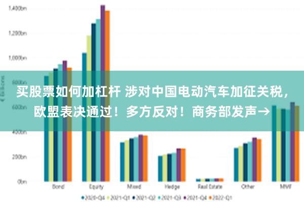 买股票如何加杠杆 涉对中国电动汽车加征关税，欧盟表决通过！多方反对！商务部发声→