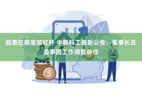 股票在哪里加杠杆 中粮科工最新公告：董事长及监事因工作调整辞任