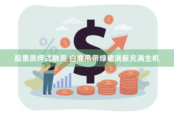 股票质押式融资 白鹿吊带绿裙清新充满生机