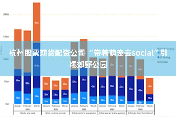 杭州股票期货配资公司 “带着萌宠去social”引爆郊野公园